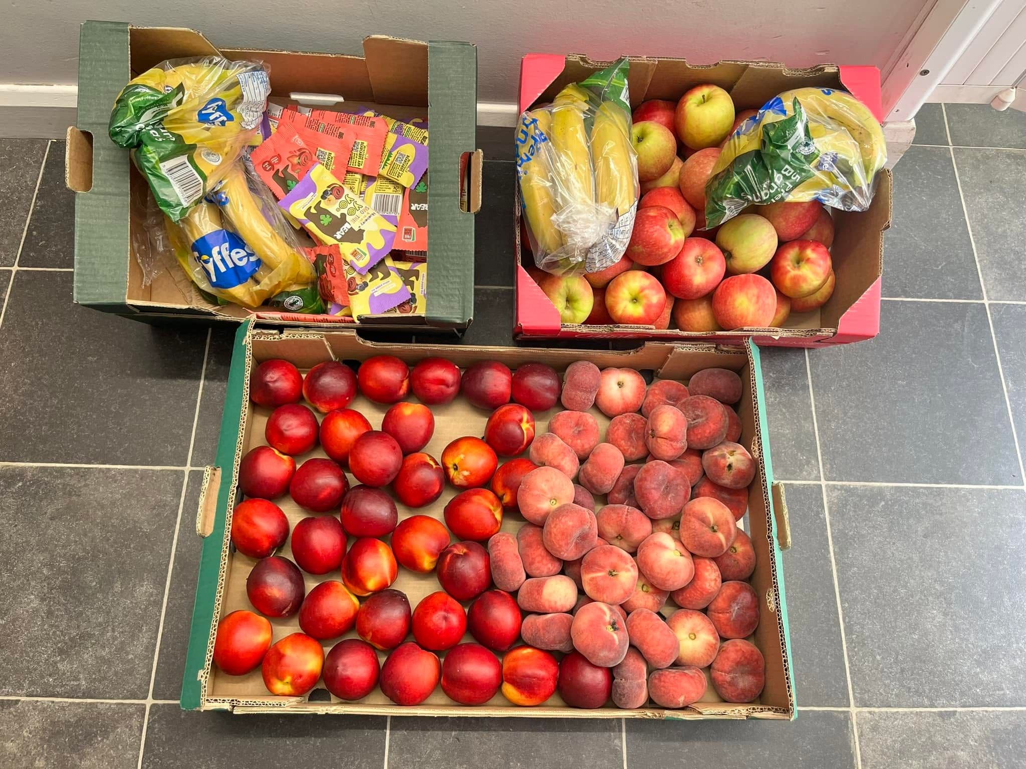 Boxes of fresh fruit (peaches, nectarines, apples and bananas) ready for snack time.